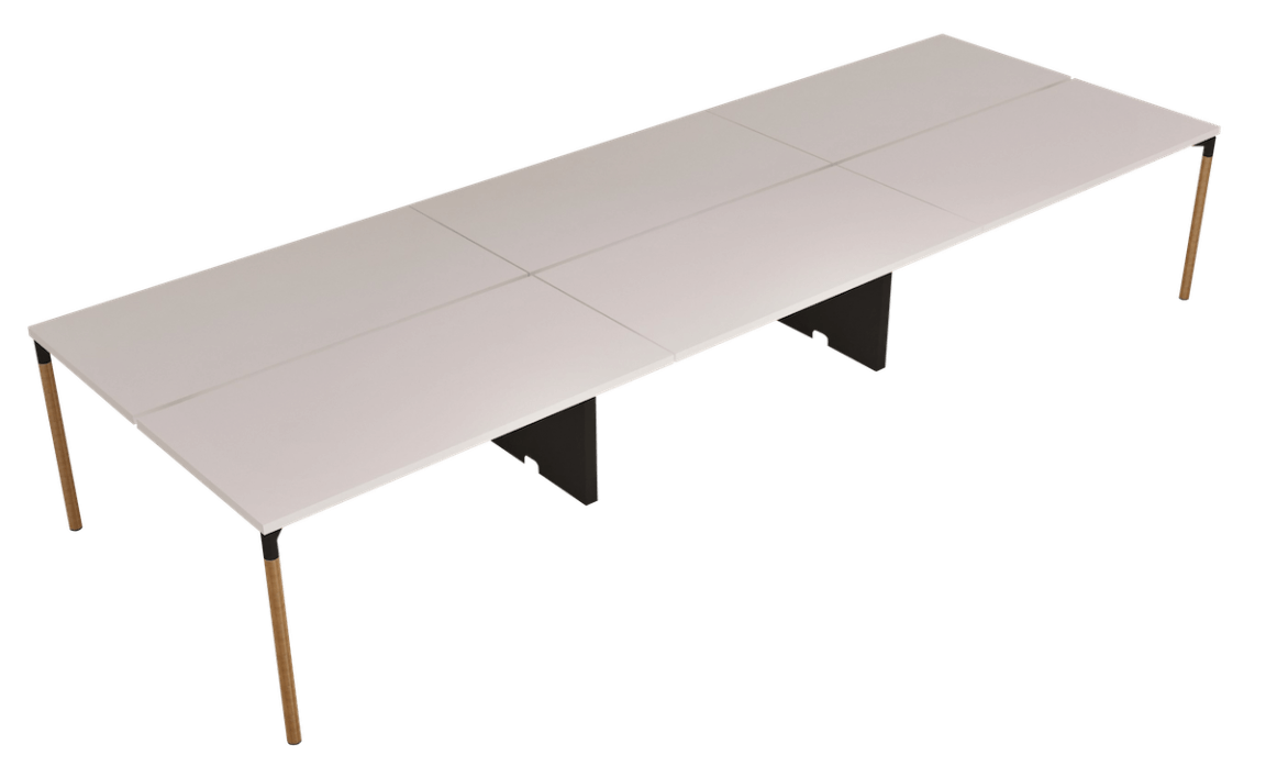 titan-6-li-workstation